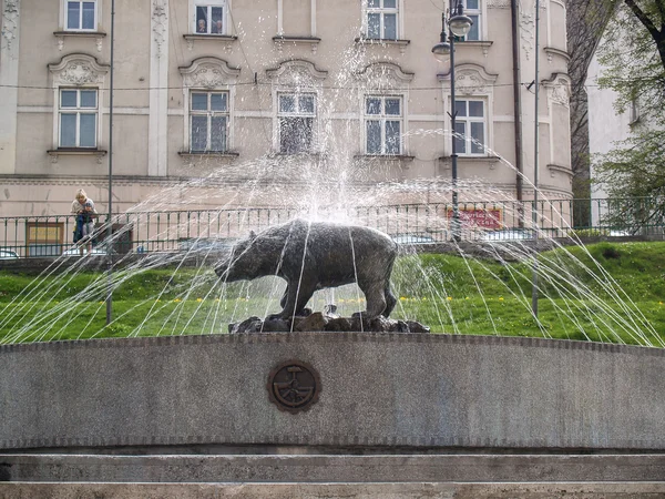 Przemysl, medvěd kašna, podkarpackie Polsko — Stock fotografie