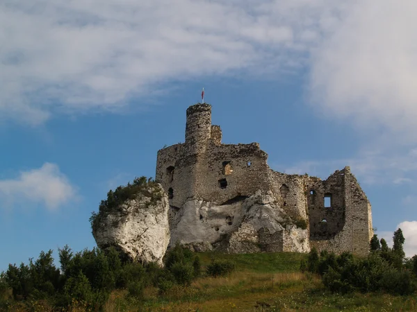 Руїни замку Mirow — стокове фото