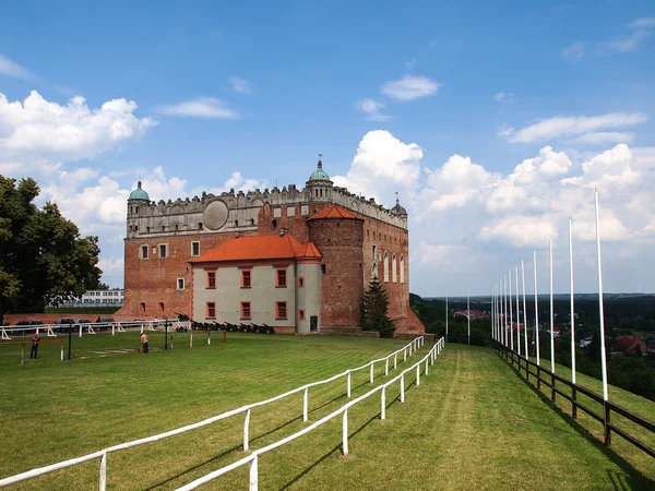 Замок у Голуб Dobrzyn, Польща Стокове Фото