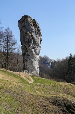 maczuga herkulesa olarak adlandırılan Ulusal ojcow park, Polonya rock