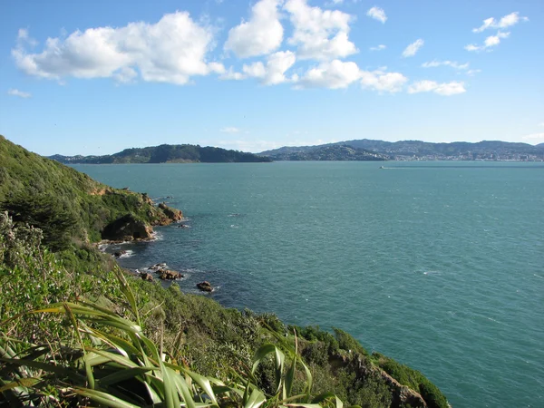 Wellington paisaje . — Foto de Stock