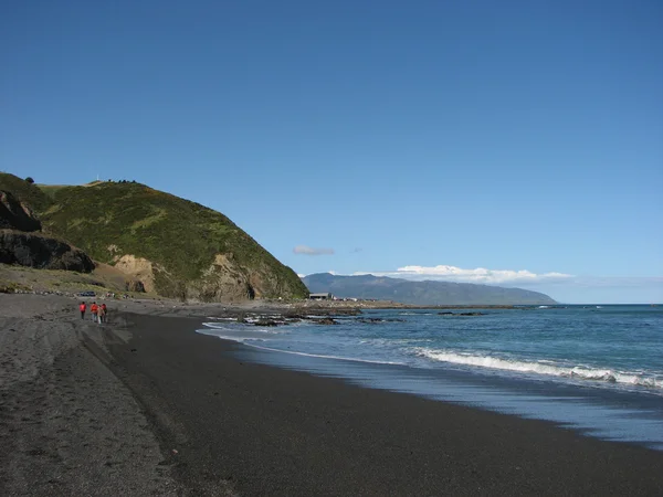 Wellington — Foto Stock