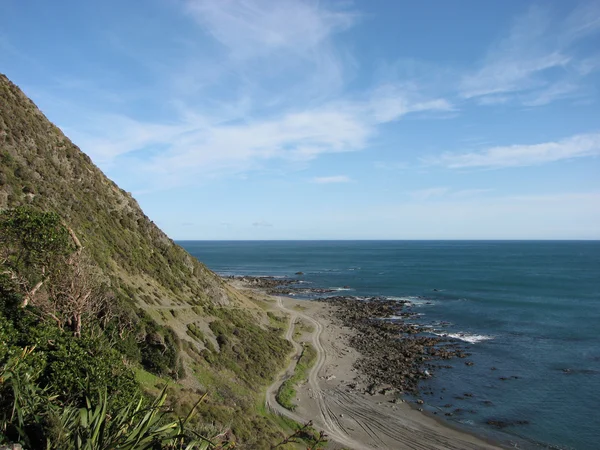 Wild Coast