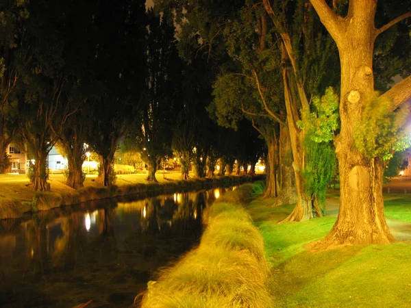 Güney gece