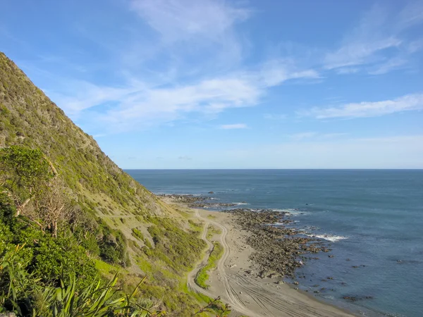 Wild Coast