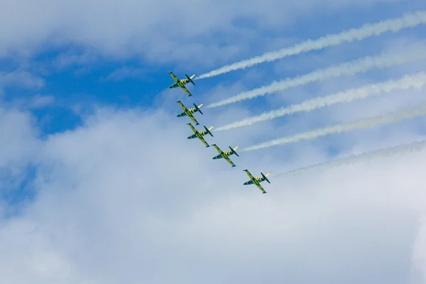 Six powerful birds — Stock Photo, Image