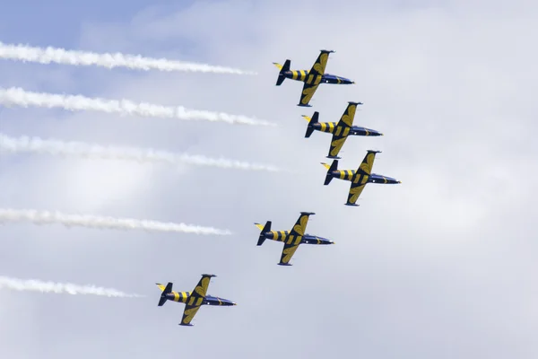 Seis aves poderosas —  Fotos de Stock