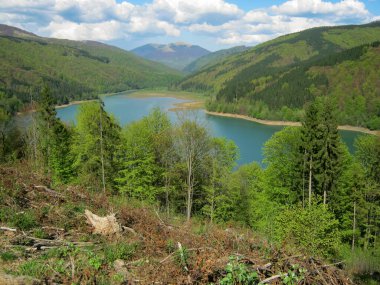 Karpat dağlarındaki göl manzarası