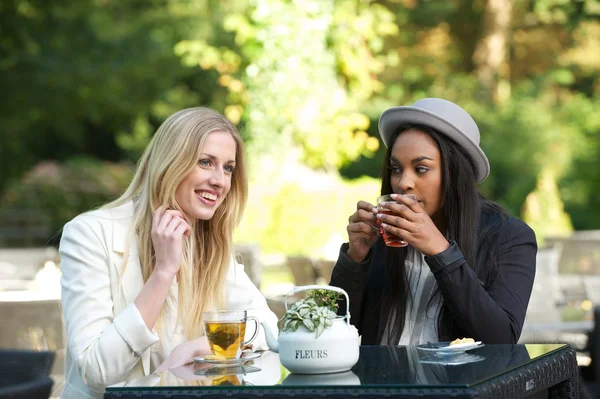 Amigos multiculturales bebiendo té — Foto de Stock