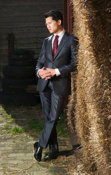 Knappe Aziatische zakenman op de boerderij — Stockfoto