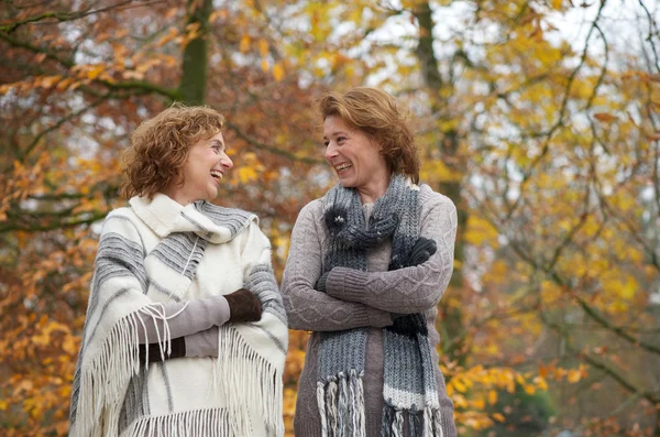 Herbstlich lächelnde Frauen — Stockfoto