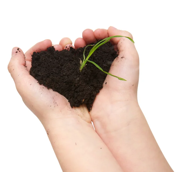 Manos de niño sosteniendo la suciedad con la planta verde que crece — Foto de Stock