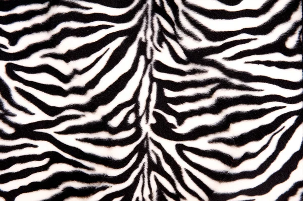 Siyah ve beyaz zebra deseni — Stok fotoğraf