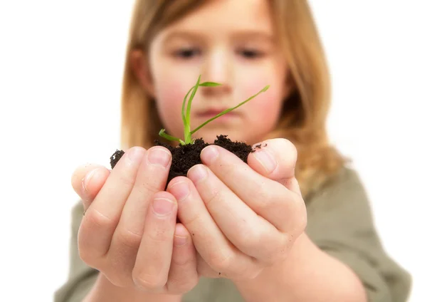 Porträt eines kleinen Mädchens, das das Leben in den Händen hält — Stockfoto