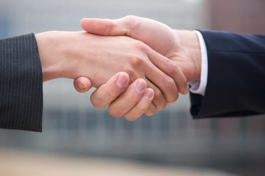 iş adamı ve iş kadını el sıkışma