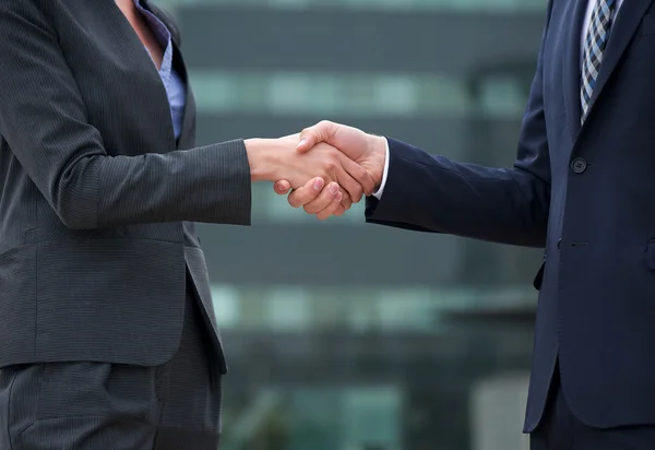 Business Handshake — Stock Photo, Image