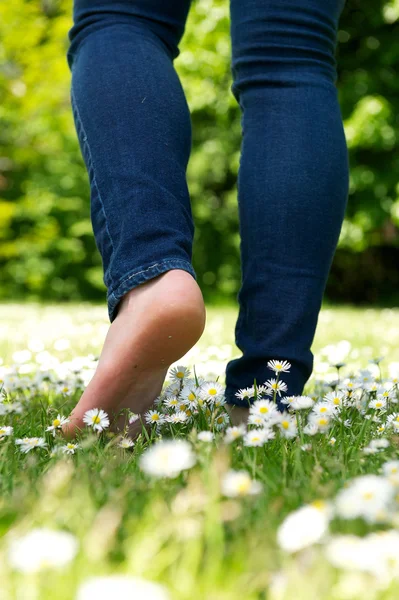 Genç kadın çıplak ayakla parkta yeşil çimenlerin üzerinde yürüyüş — Stok fotoğraf