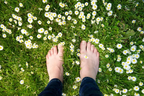 Vrouwelijke voeten permanent op groen gras en witte bloemen — Stockfoto