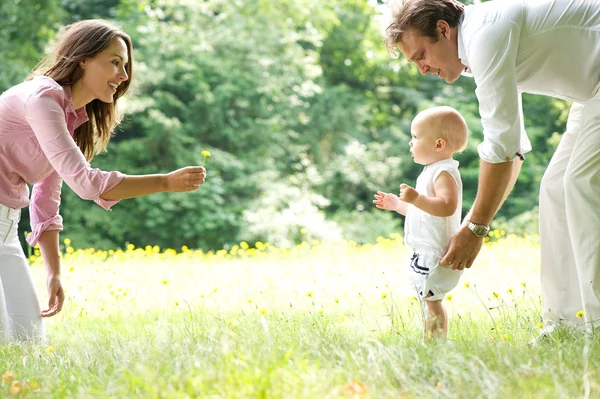 Jovem família feliz ensinando bebê a andar — Fotografia de Stock