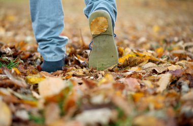 Male shoes walking on fall leaves outdoors clipart