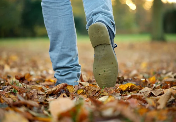 Marcher avec des bottes sur des feuilles d'automne — Photo