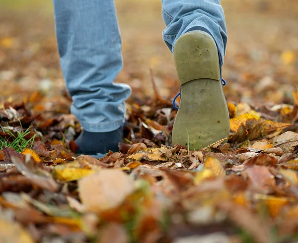 Shoes walking on autumn leaves from rear — Stock Photo, Image