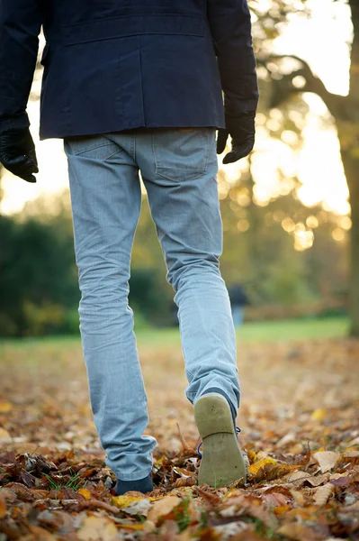 Walking away on autumn day outdoors — Stock Photo, Image