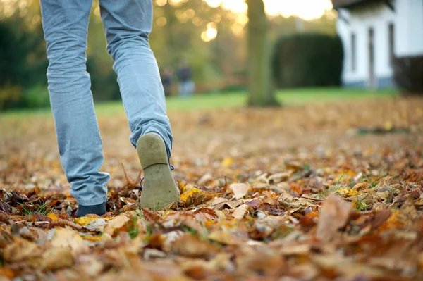 Caminando en otoño — Foto de Stock