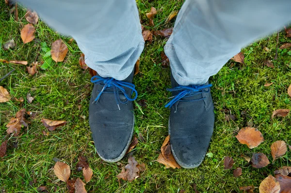 Em pé na grama verde ao ar livre — Fotografia de Stock
