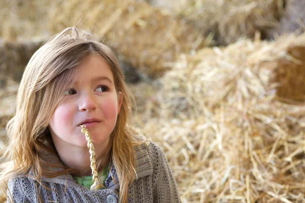 年轻的女孩，轻松在农场 — 图库照片