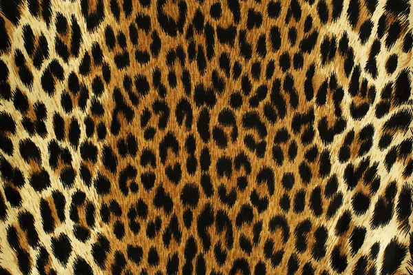 Lugares pretos de um leopardo — Fotografia de Stock