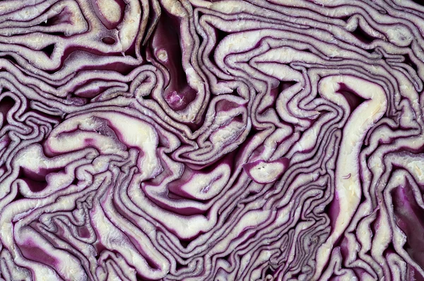 Rotkohl — Stockfoto