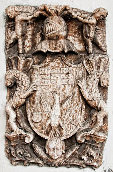 Escudo heráldico — Foto de Stock