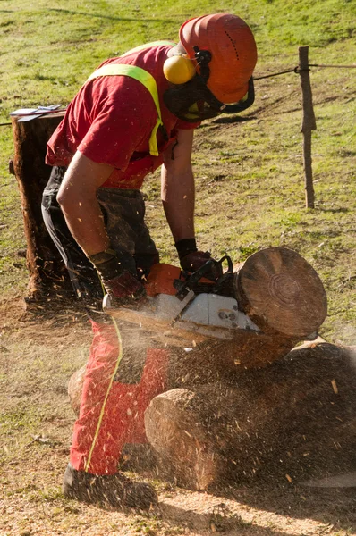 Holzfäller arbeiten — Stockfoto