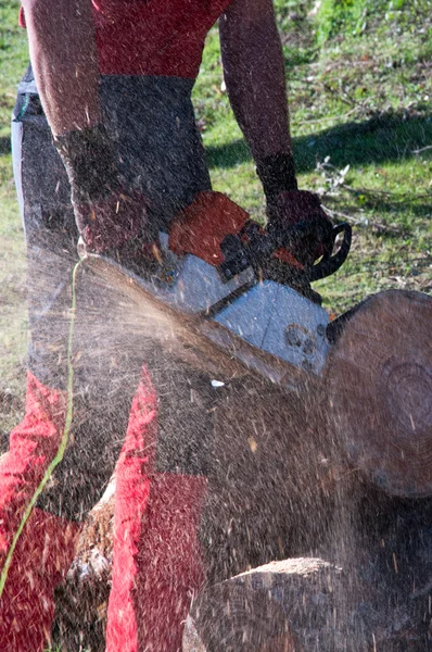 Lumberjack working — Stock Photo, Image