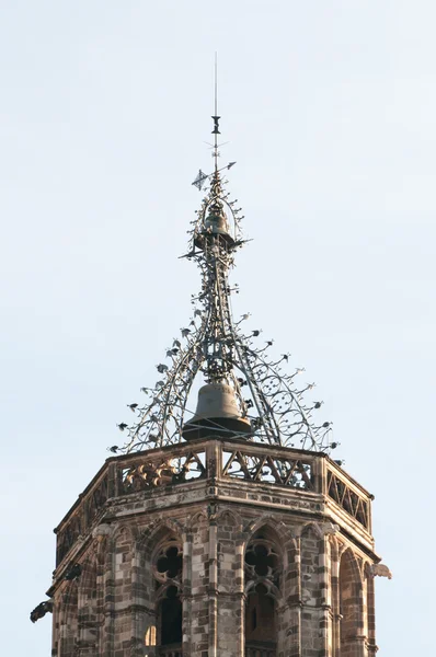 세리 교회 및 성당 — 스톡 사진