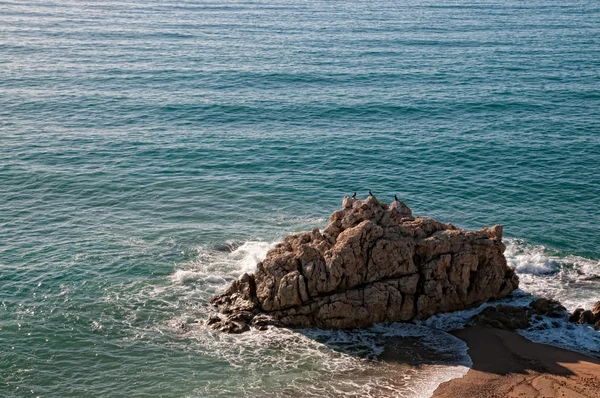 Costa Brava — Stok fotoğraf