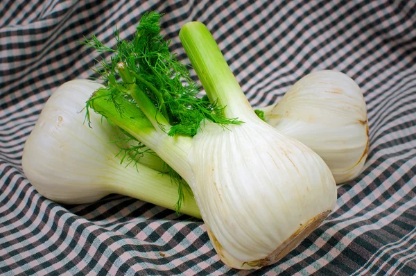 Fennel — Stock Photo, Image