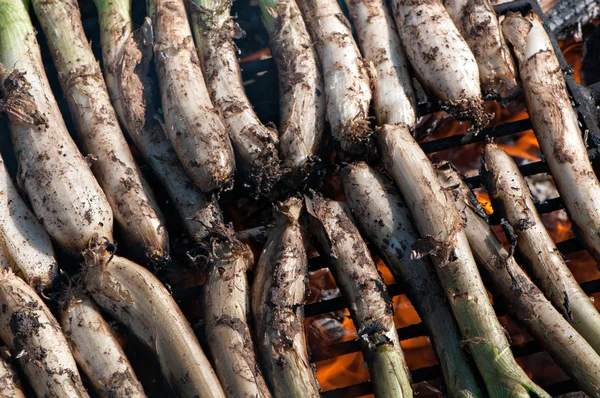 Gegrillte Zwiebeln — Stockfoto