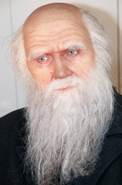 Charles Darwin clipart