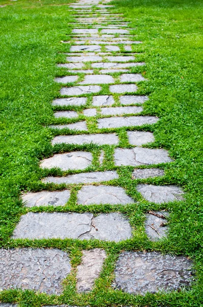 Stone path with grass — Stock Photo, Image