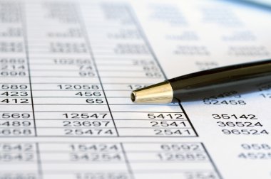 finansal sayı