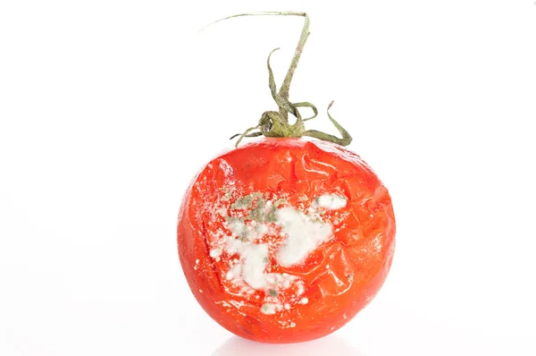 Çürük domates — Stok fotoğraf