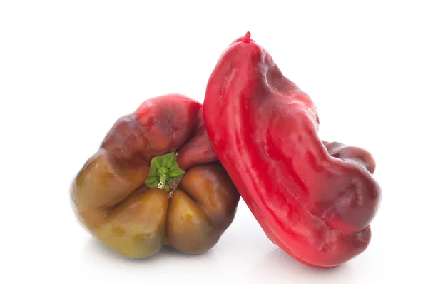 Peper — Stockfoto