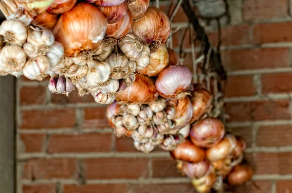 Česnek a cibule — Stock fotografie