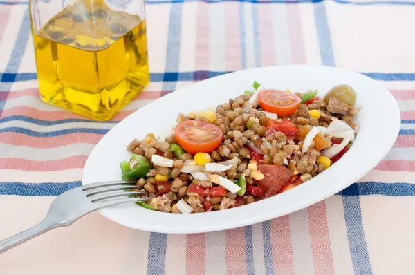 Insalata di lenticchie — Foto Stock