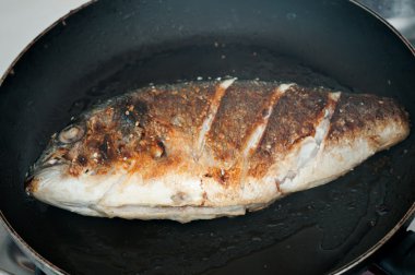 yaldızlı kafa çipura