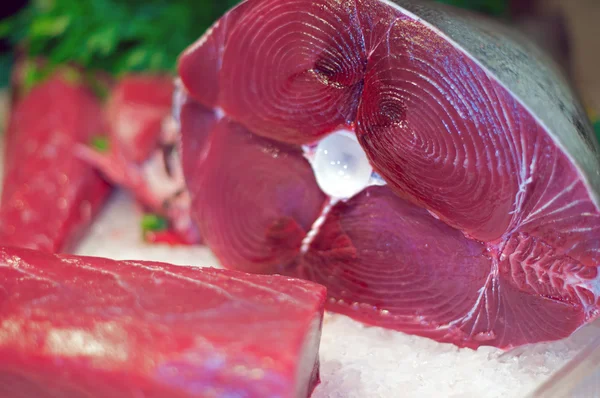 Fresh tuna — Stock Photo, Image