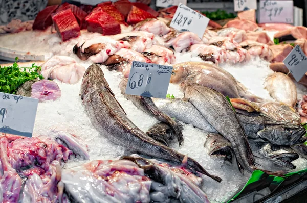 Pasar ikan — Stok Foto