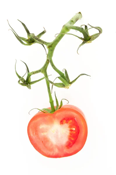 Tomat dengan cabang — Stok Foto
